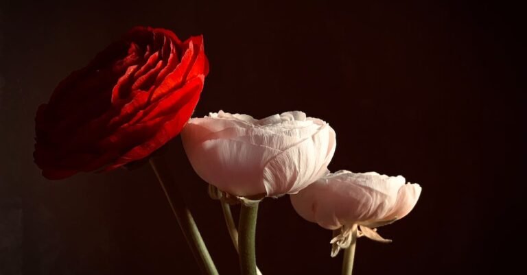 Pixie Hair Style- Is It Right For You?